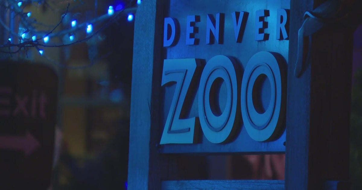 Denver Zoo closed Wednesday due to snow, will reopen Wednesday evening for Zoo Lights