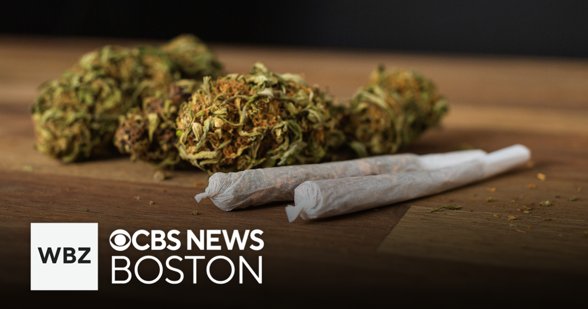 Adults using medical marijuana for pain less likely to require opioids, research shows