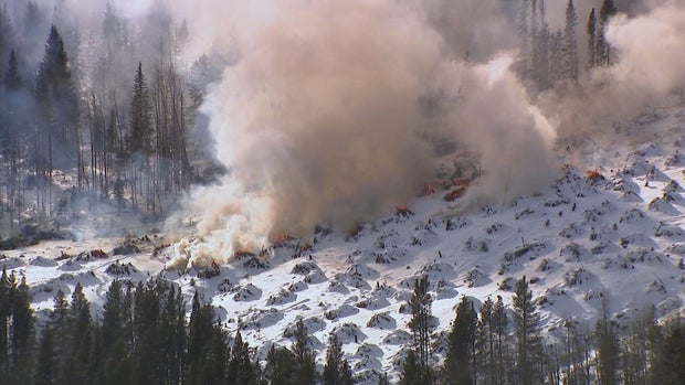 controlled-burn-slash-pine-piles-summit-county-snow.jpg 