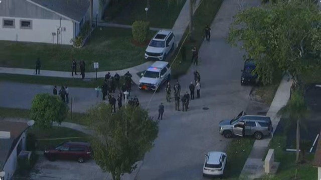 Police lights generic 