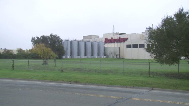Anheuser-Busch InBev Brewery 