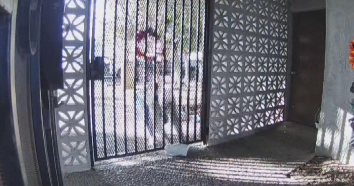 250 000 откраднати пакета на ден, установява проучване, докато законодателите налагат по-строги наказания