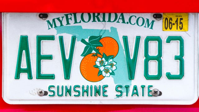 License Plate - Florida 