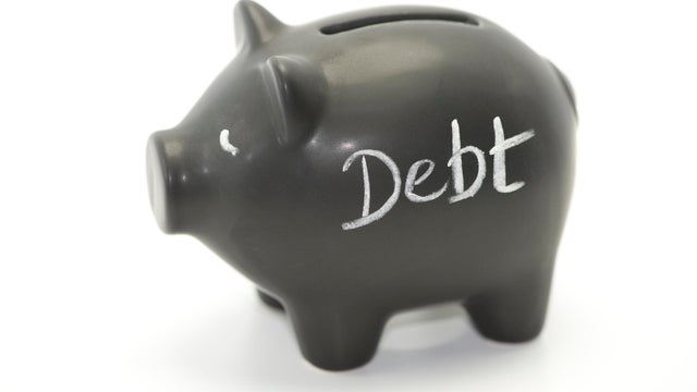 debt pig 