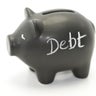debt pig 