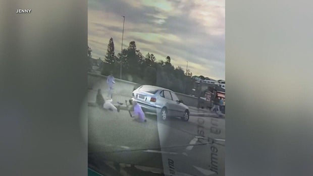 Boris and Sofia Gurman are seen on dashcam video trying to stop the deadly terror attack on a Hanukkah celebration at Australia's Bondi Beach.