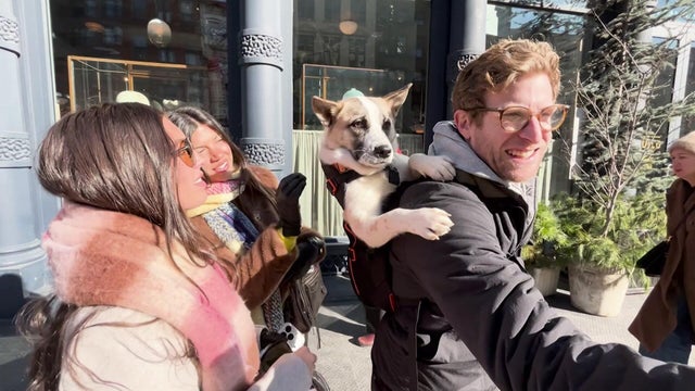 A man with a dog in a backpack talks to two women 