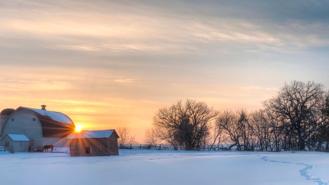Panoramic winter landscape 