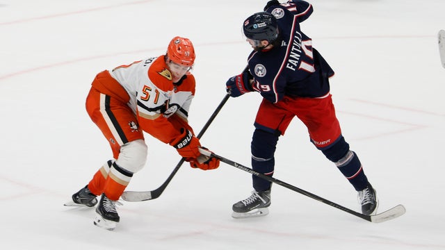 Ducks Blue Jackets Hockey 