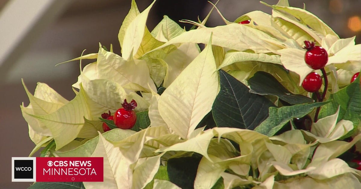 Upgrade your holiday home decor with these floral tips