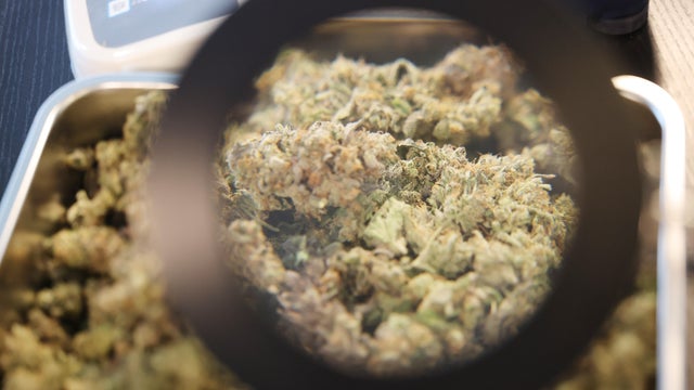 Legal recreational cannabis dispensary in Erfurt 