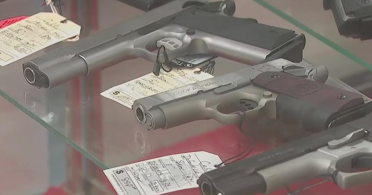 Michigan House Republicans introduce a repeal to state red flag laws ...
