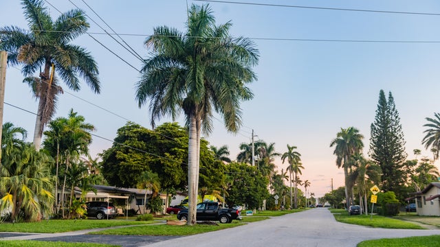 Middle of the Road at Dusk in Hollywood Florida Neighborhood 
