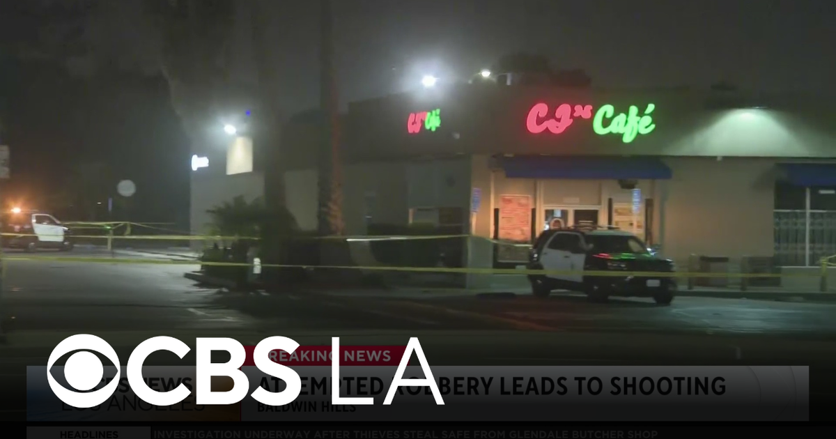 Attempted robbery leads to deadly shooting in South Los Angeles ...