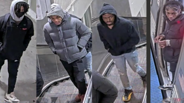 Greater Grand Crossing robbery CTA red Line 