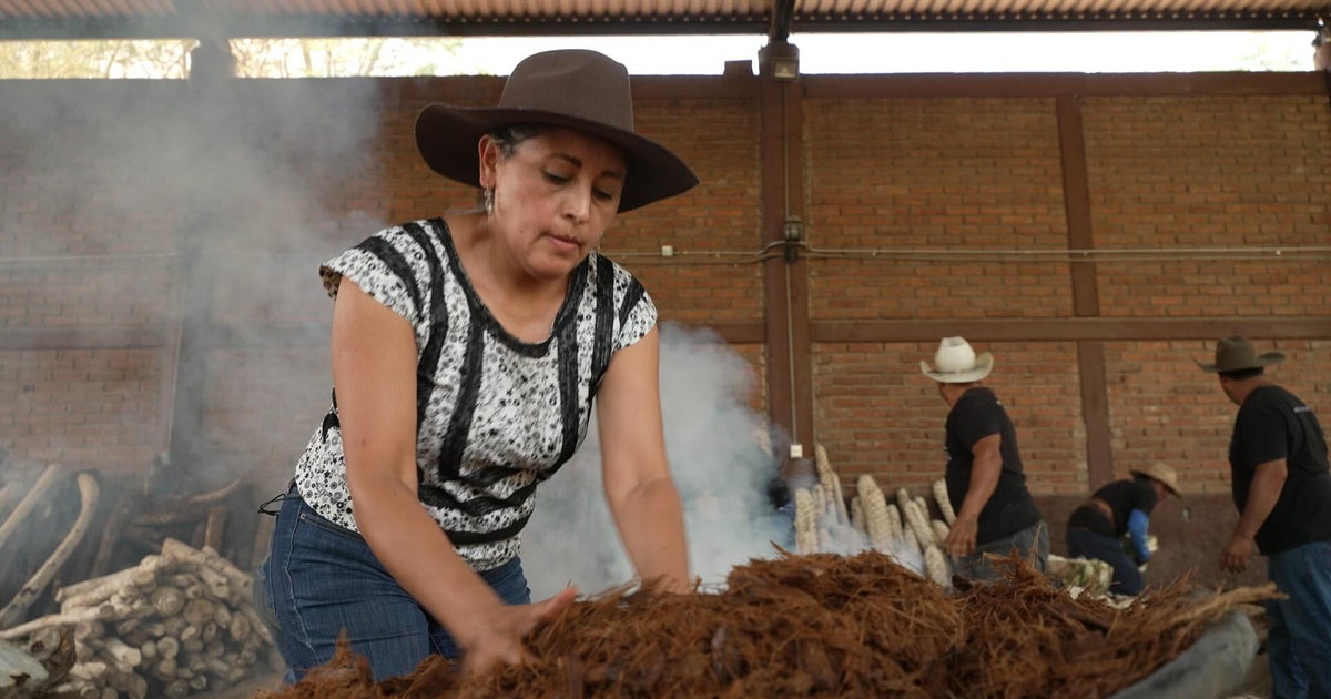 Mezcal producers preserve traditional methods as demand for liquor grows | 60 Minutes