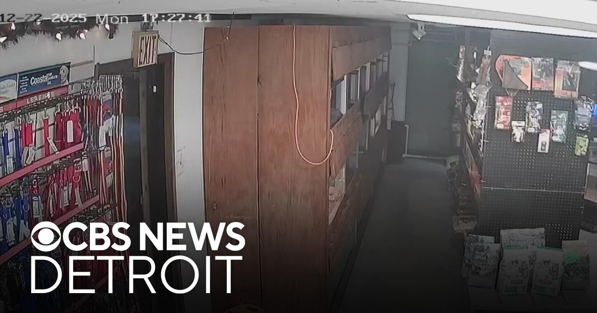 Stolen puppy returned to Ypsilanti pet store, business says