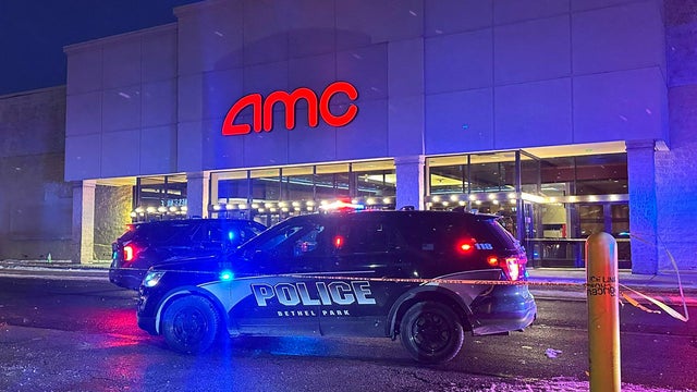 Police lights generic 