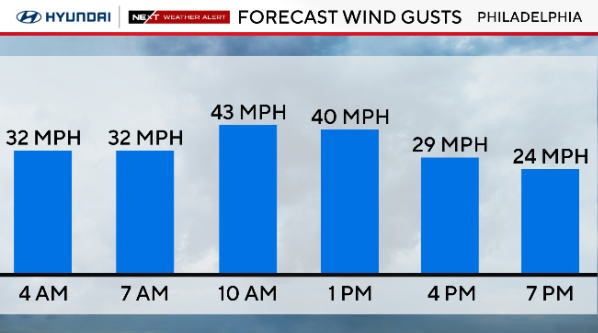 Wind gust forecast 