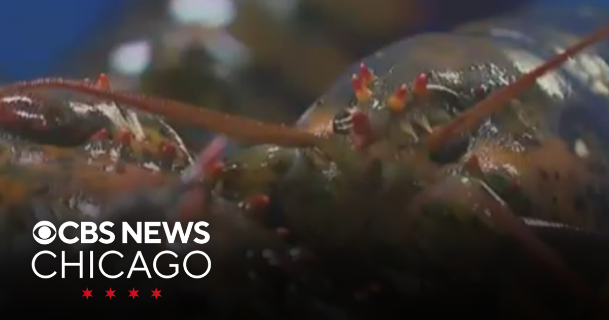 Shipping facility where thieves stole $400,000 worth of lobsters had been hit before