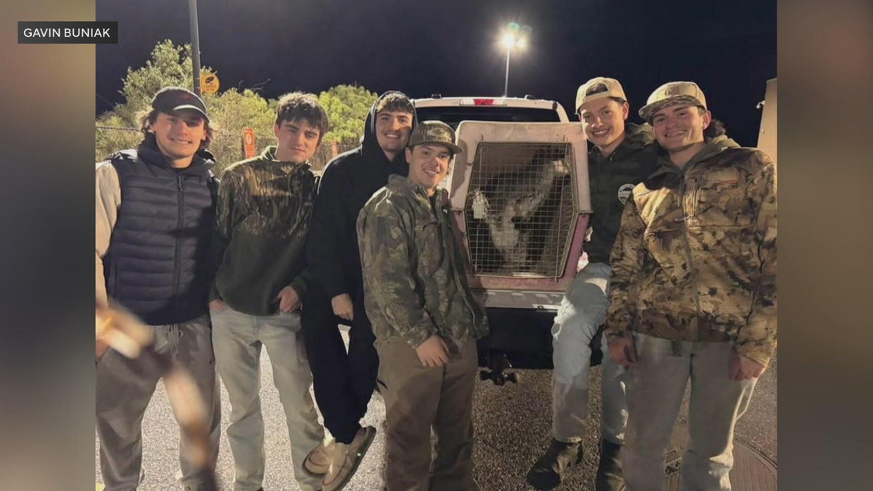 Wallaby named Rex found and returned after escaping from New Jersey ...