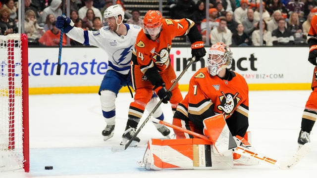 Lightning Ducks Hockey 