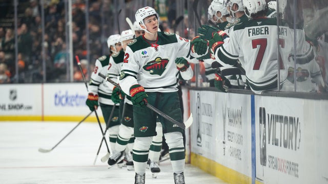 Wild Ducks Hockey 