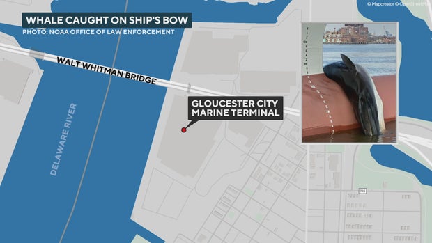 Gloucester City Marine Terminal map 