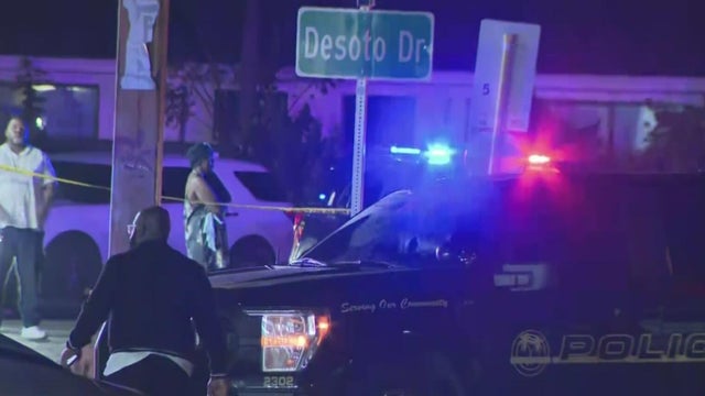 Police lights generic 