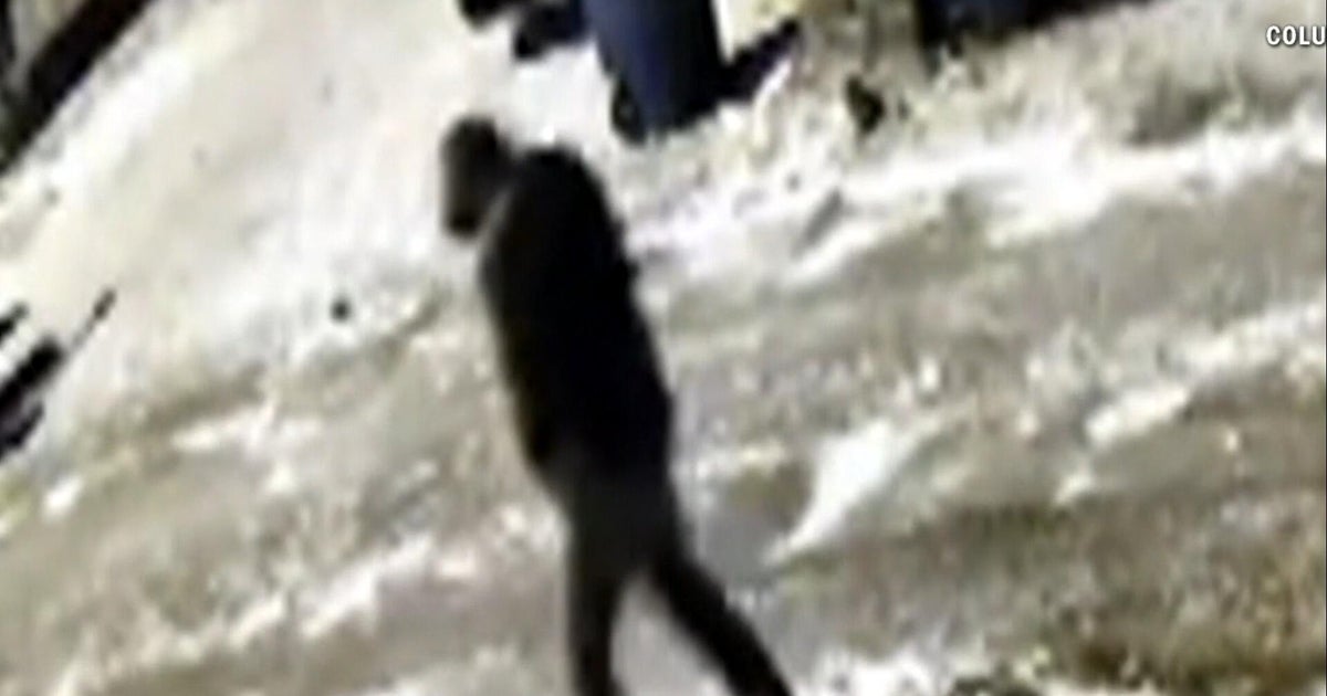 Ohio police seek person of interest in murders of dentist and his wife