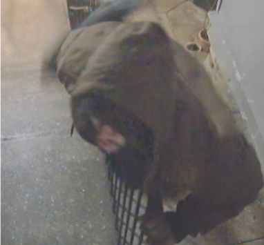 A photo of the suspect