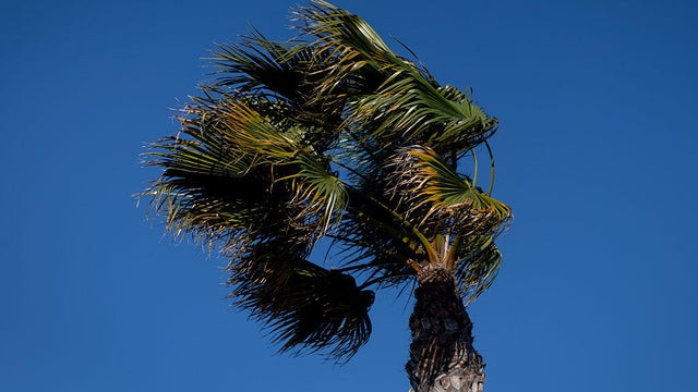 Wind in Southern California 