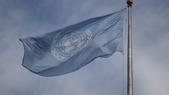 UN flag 