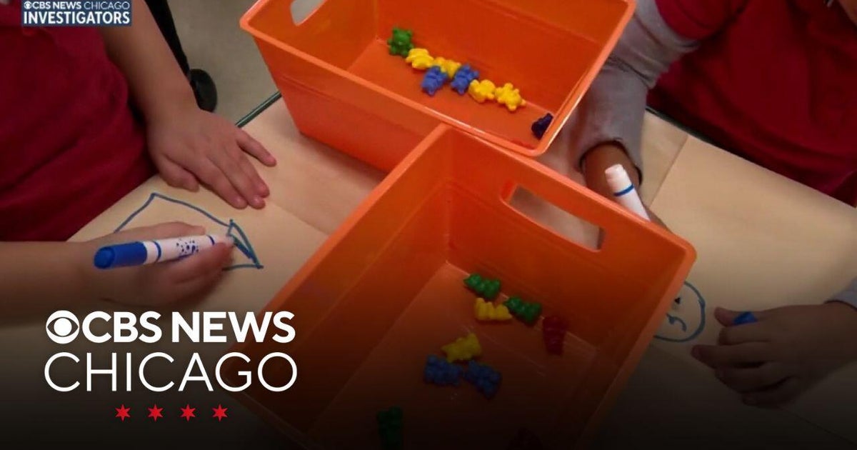 Illinois, 4 other states sue over Trump's freeze on $10 billion in social service funding