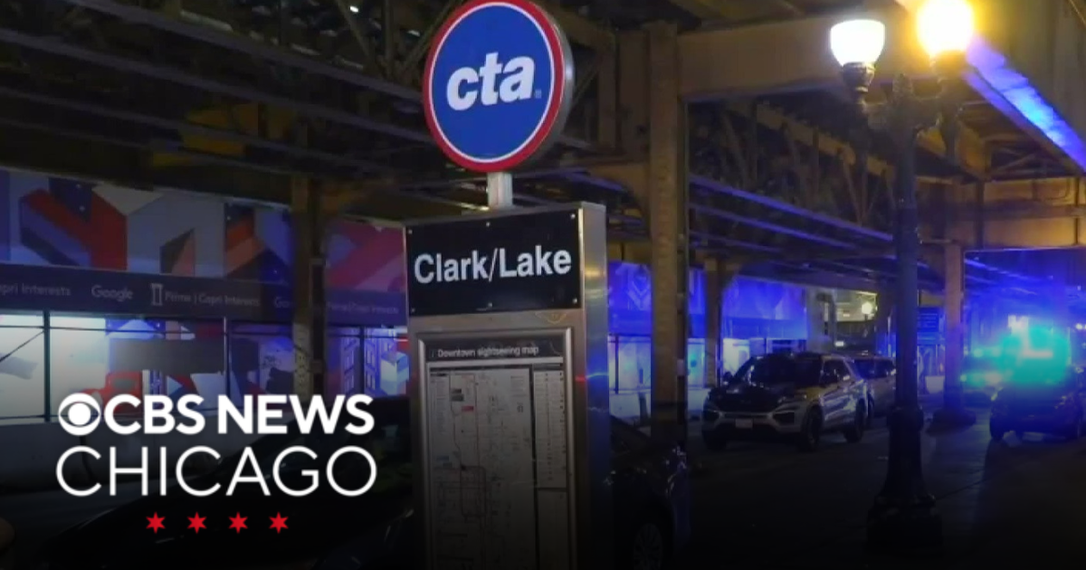 Man killed in stabbing on Blue Line train at Loop CTA station