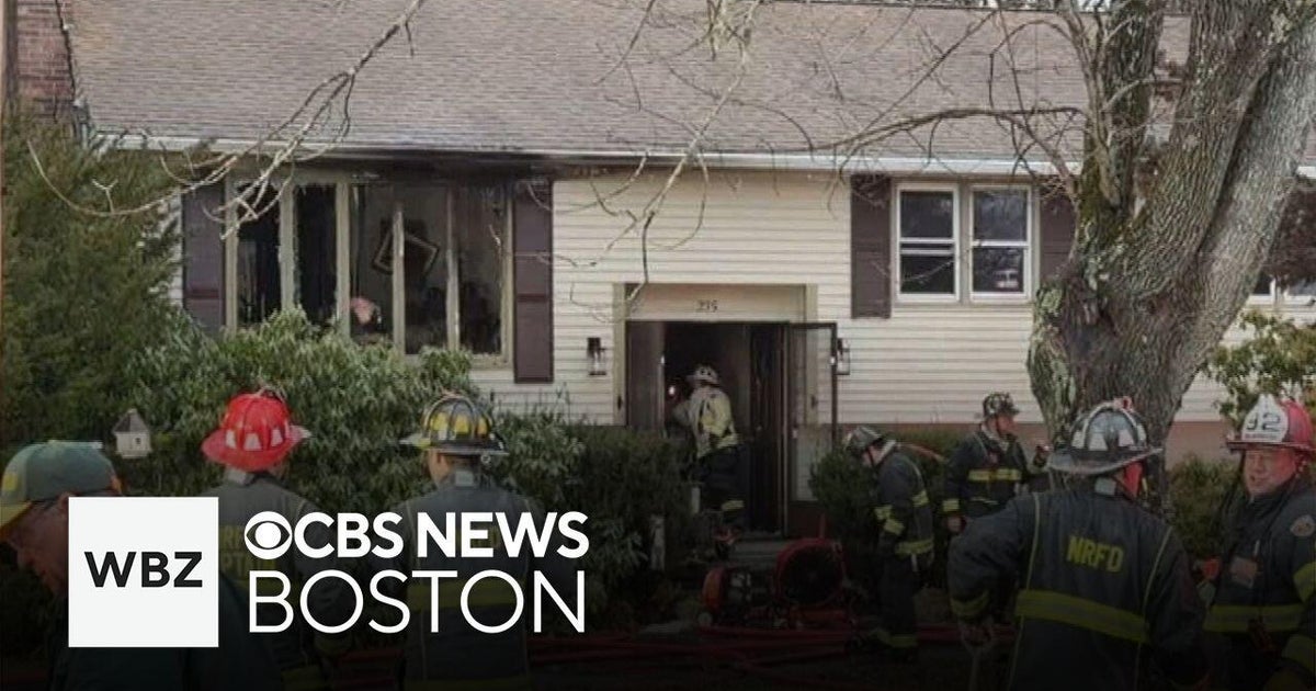 Pets killed in Massachusetts house fire