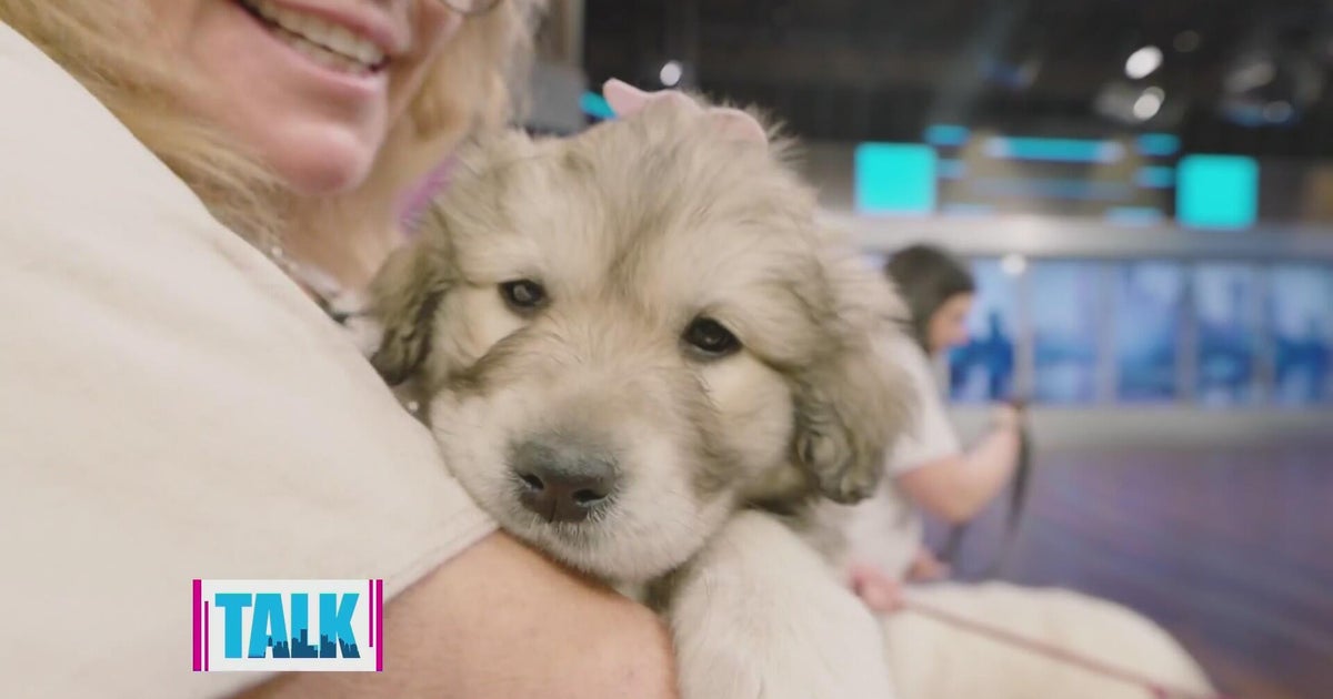 How the Great Pyrenees Club of Western Pennsylvania helps dogs