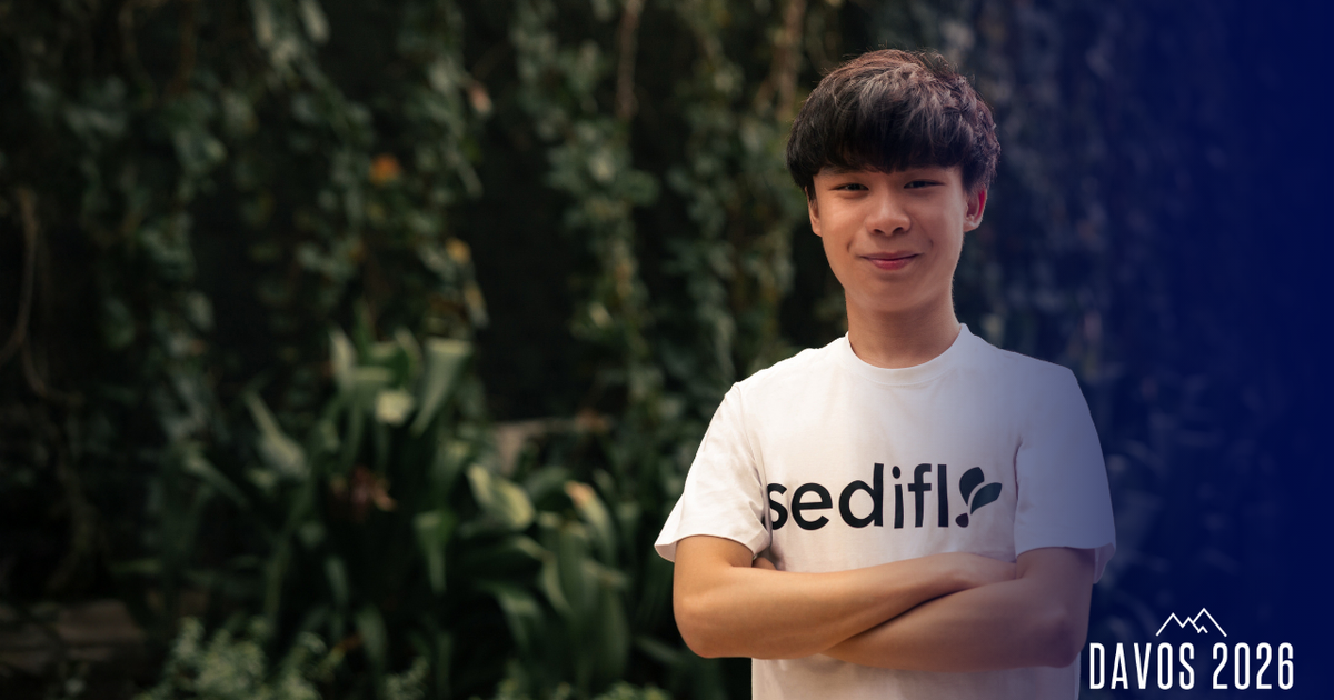Democratizing Access to Education: How Sedifly Is Rethinking the Path to College