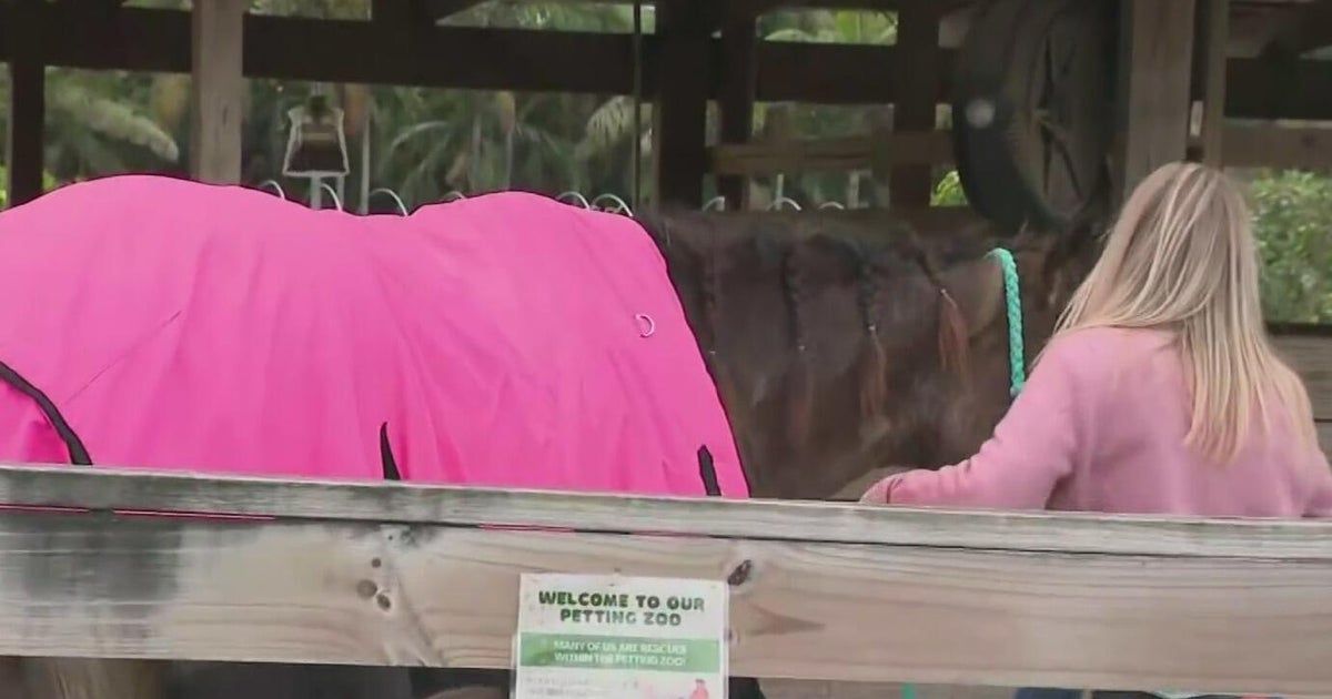Farmers protecting animals, crops from cold temperatures that blasted South Florida