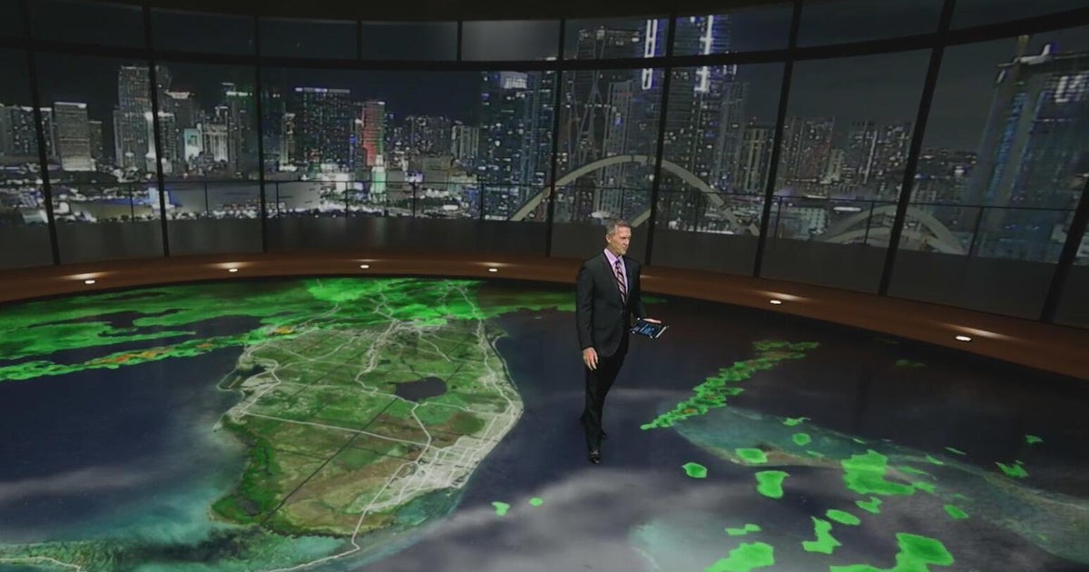 Falling iguanas return as temps dip, weekend warm‑up ahead in South Florida