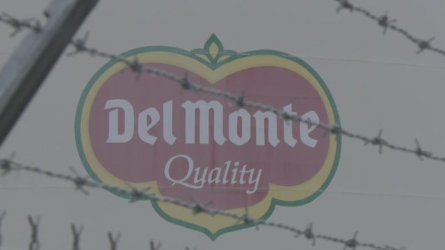 del-monte-modesto-plant.jpg 