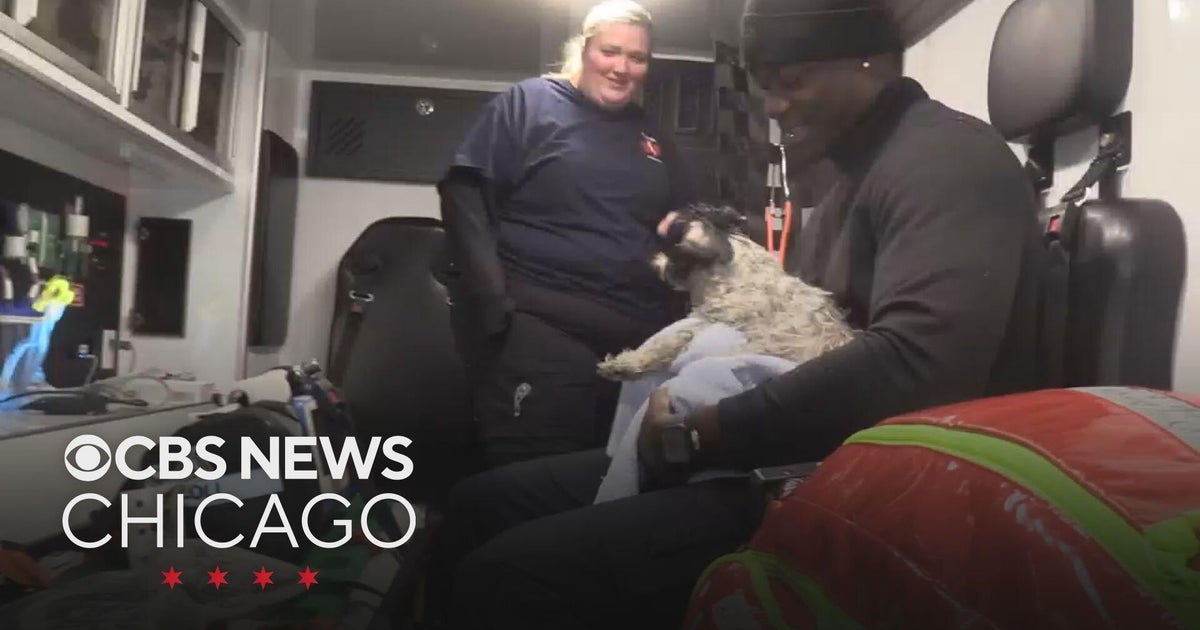 Puppy rescued from Dolton house fire