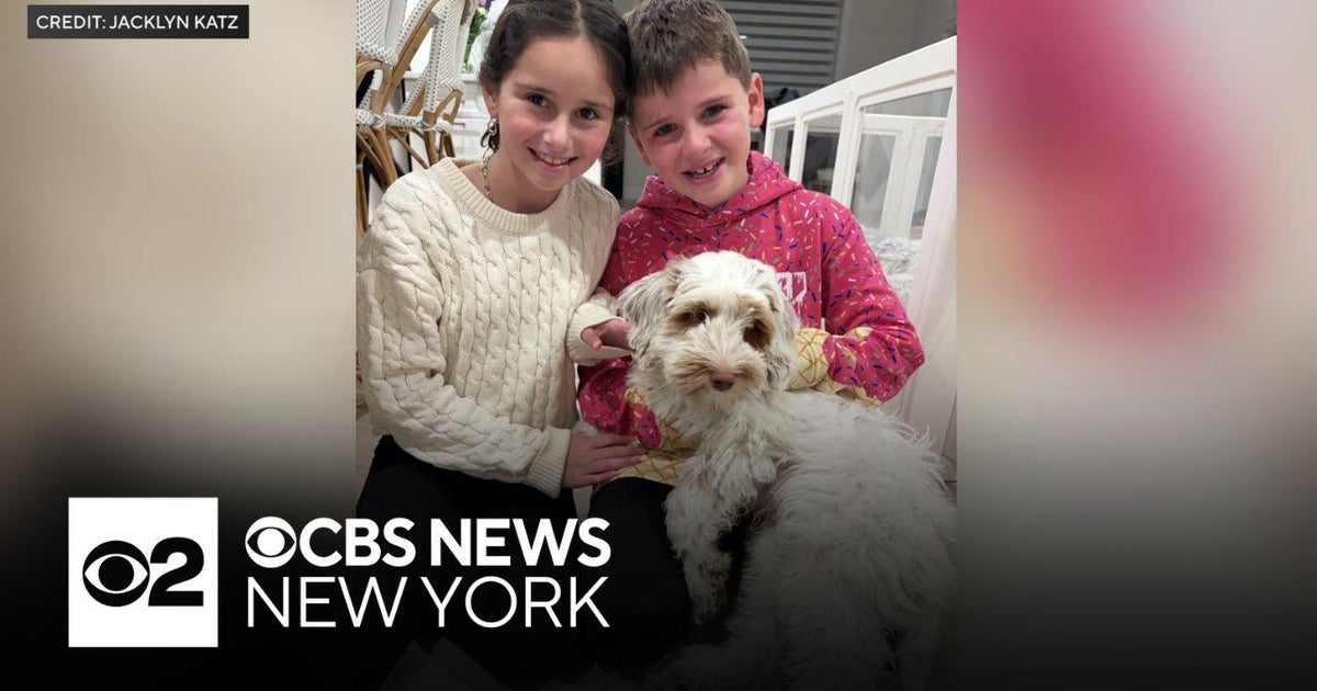 New Jersey family reunited with dog after car was stolen