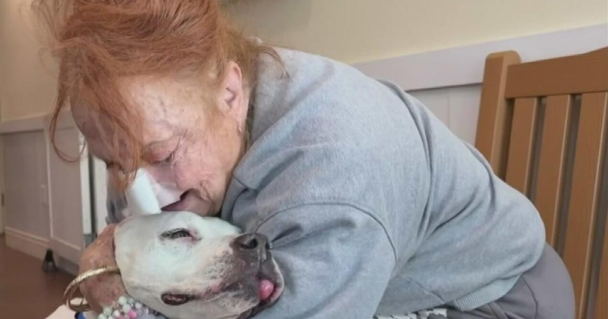 Dog missing for two years reunited with South Florida owner thanks to microchip