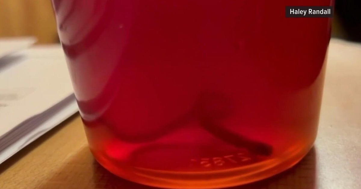 Ohio woman claims live worm found in McDonald’s iced tea