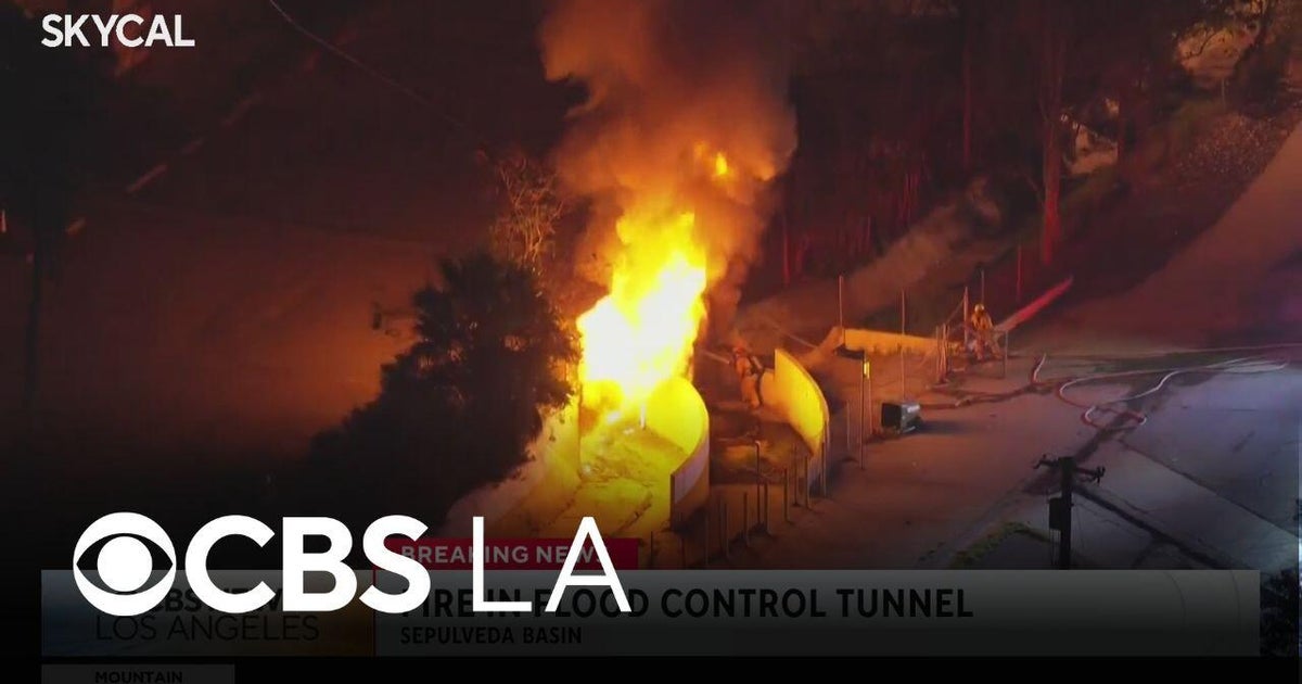 Crews battle Lake Balboa fire in flood control channel