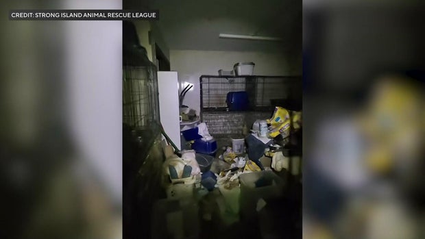 Cages and unclean conditions inside a West Islip home