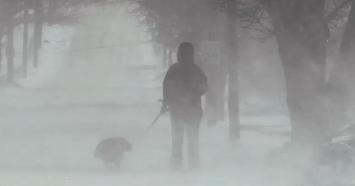 Over 200 million Americans brace for brutal winter storm