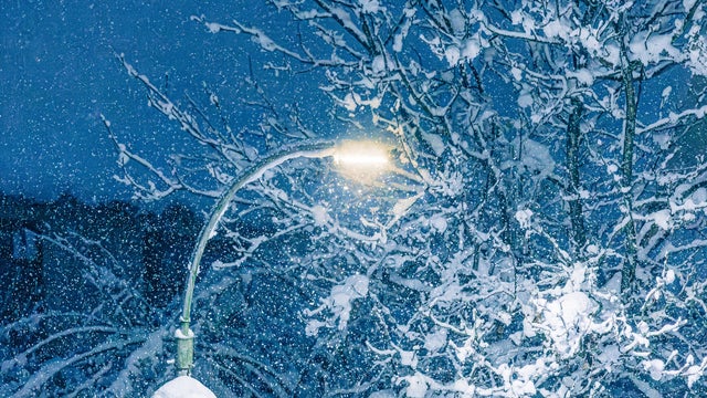 Snow falling around lamppost at night illuminating snowy trees 