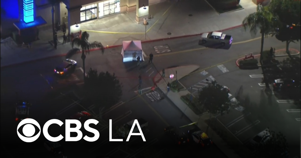 1 person shot to death at San Fernando Valley shopping center